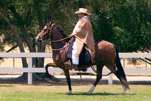 Image of Jr Soy del Peru